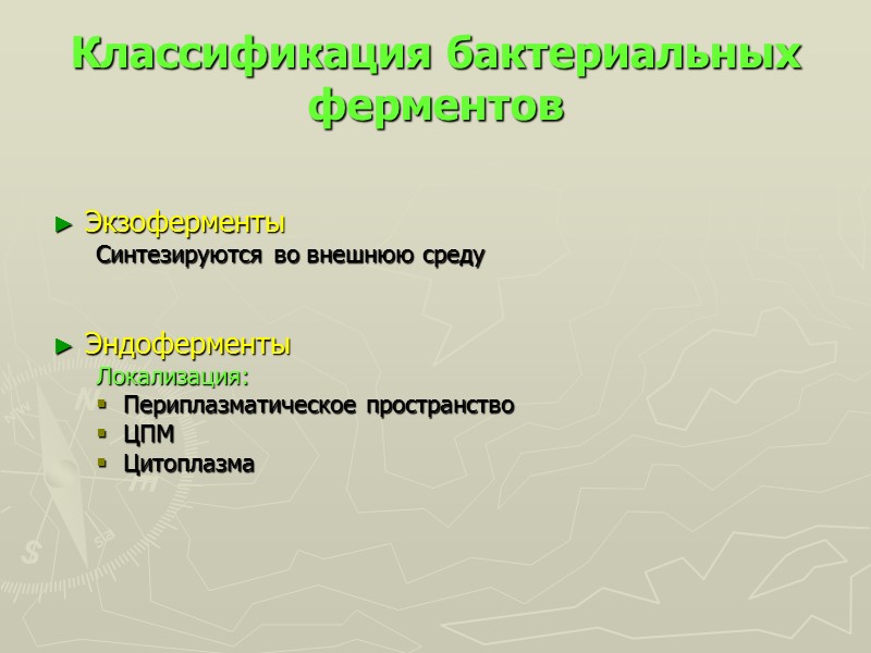 Классификация бактериальных ферментов   Экзоферменты Синтезируются во внешнюю среду    Эндоферменты